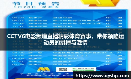 CCTV6电影频道直播精彩体育赛事，带你领略运动员的拼搏与激情